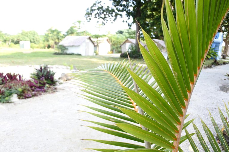 Bell Tents (Epule, Efate, Vanuatu)