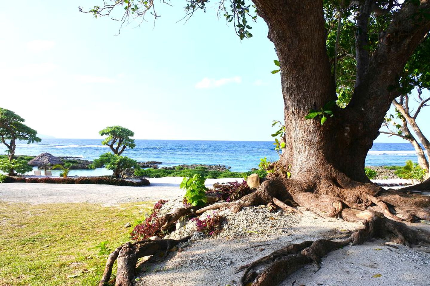 Eco-Friendly Luxury Tent Rental for an Amazing Getaway in North Efate, Vanuatu