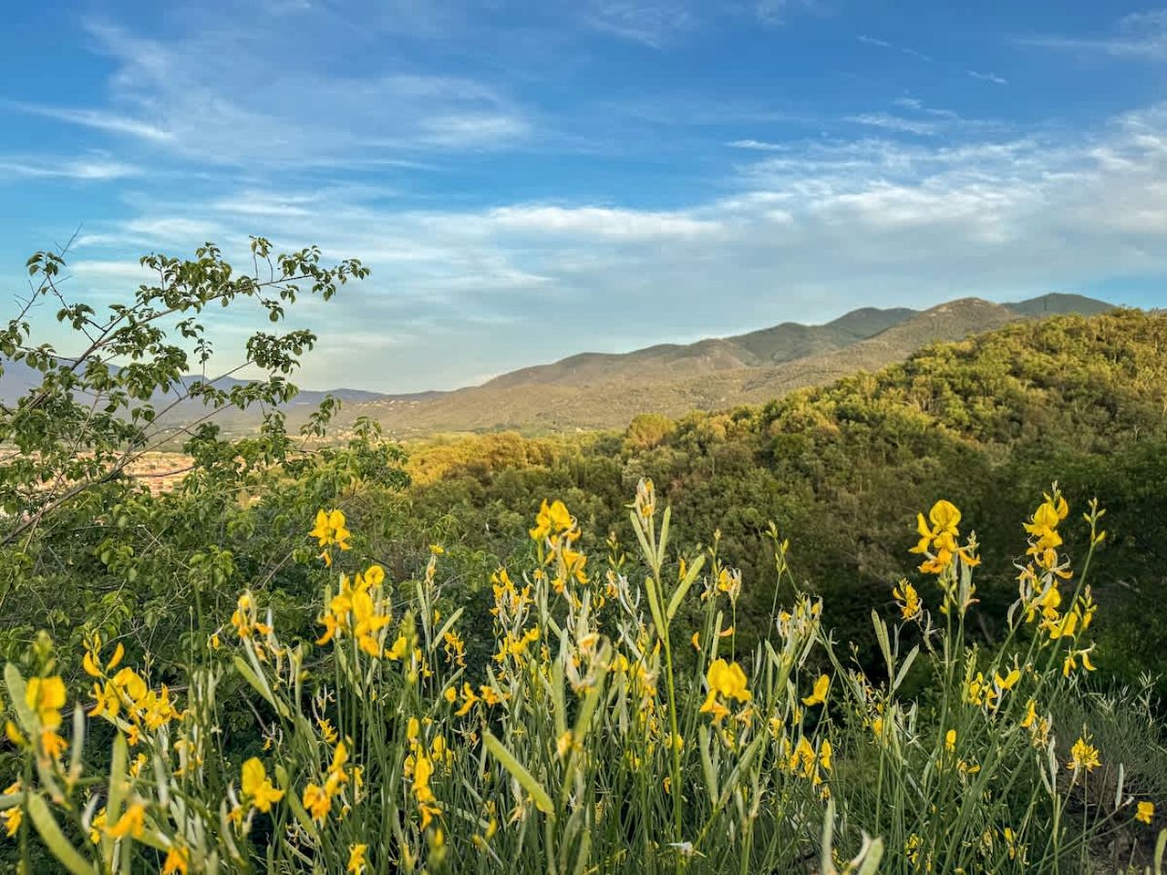 Charming Eco-Friendly Tiny Home with Mediterranean Horizon Views Near Céret | France