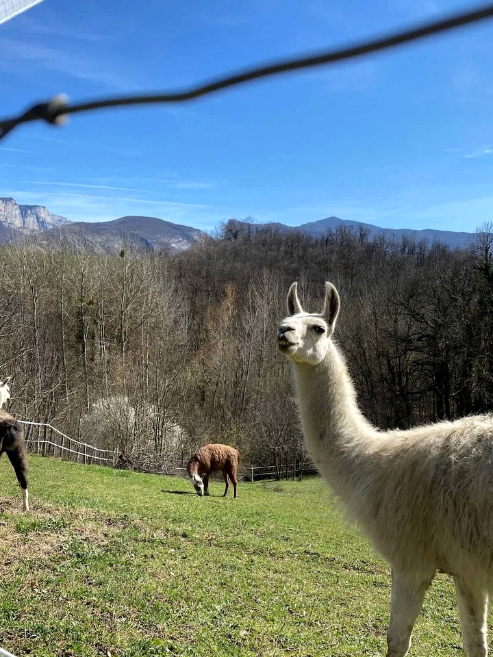 Panoramic Eco-Lodge with Orchard & Animal Friends Near Saint-André-en-Royans | Vercors, France