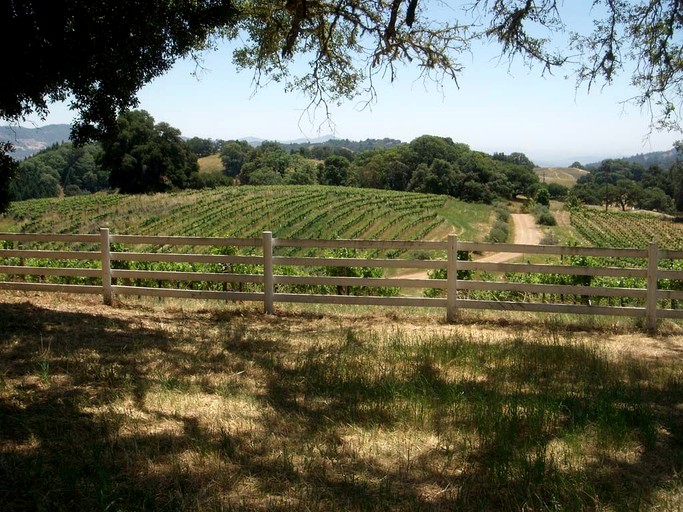 Le Vin Winery and Inn, Vacation Rentals, Cloverdale, United States of