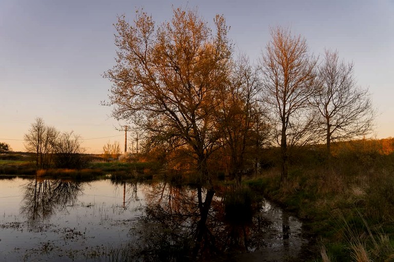 Tiny Houses (France, Billy, Centre-Val de Loire)