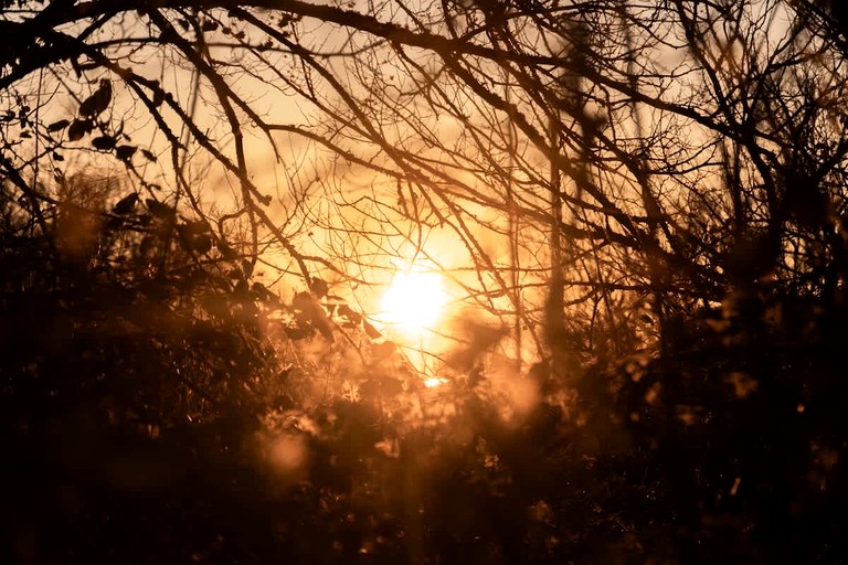 Tiny Houses (France, Billy, Centre-Val de Loire)