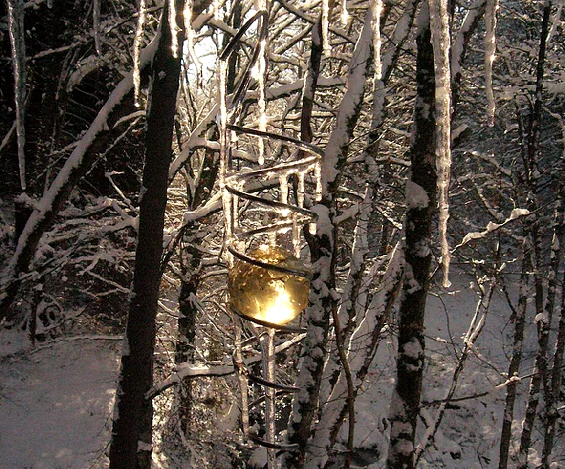 Rustic Tree House Rental for a Remote Holiday near Ussel, France