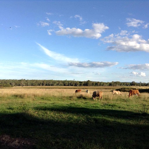 Cottages (Kingaroy, Queensland, Australia)