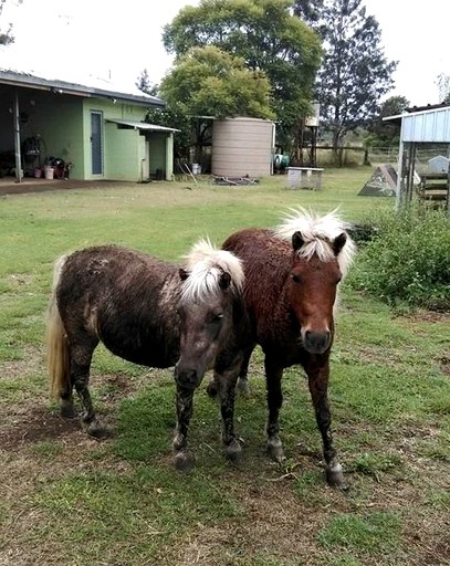 Cottages (Kingaroy, Queensland, Australia)