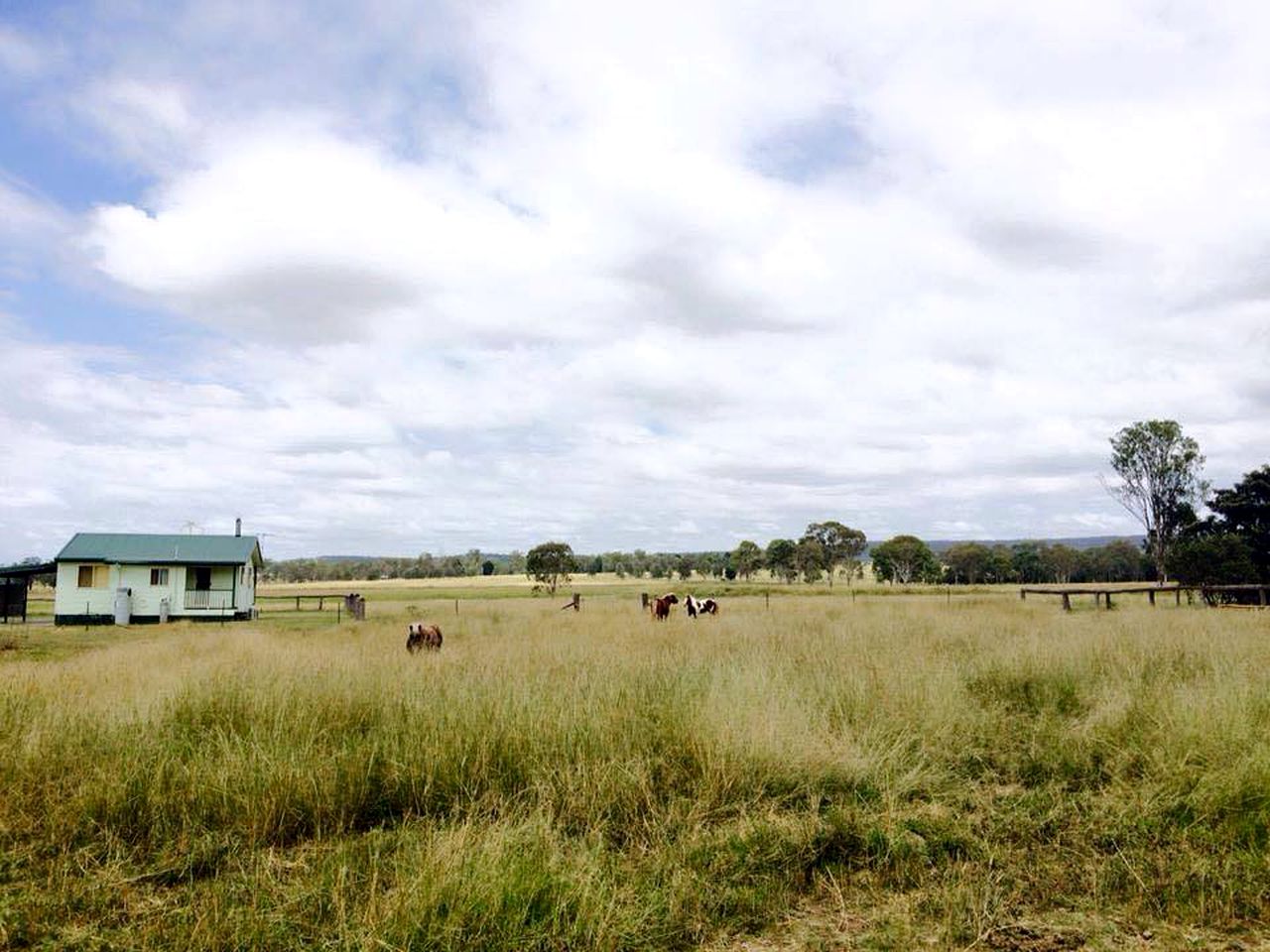 Family-Friendly Cottage Rental on 150-Acres of Farmland in Kingaroy, Queensland