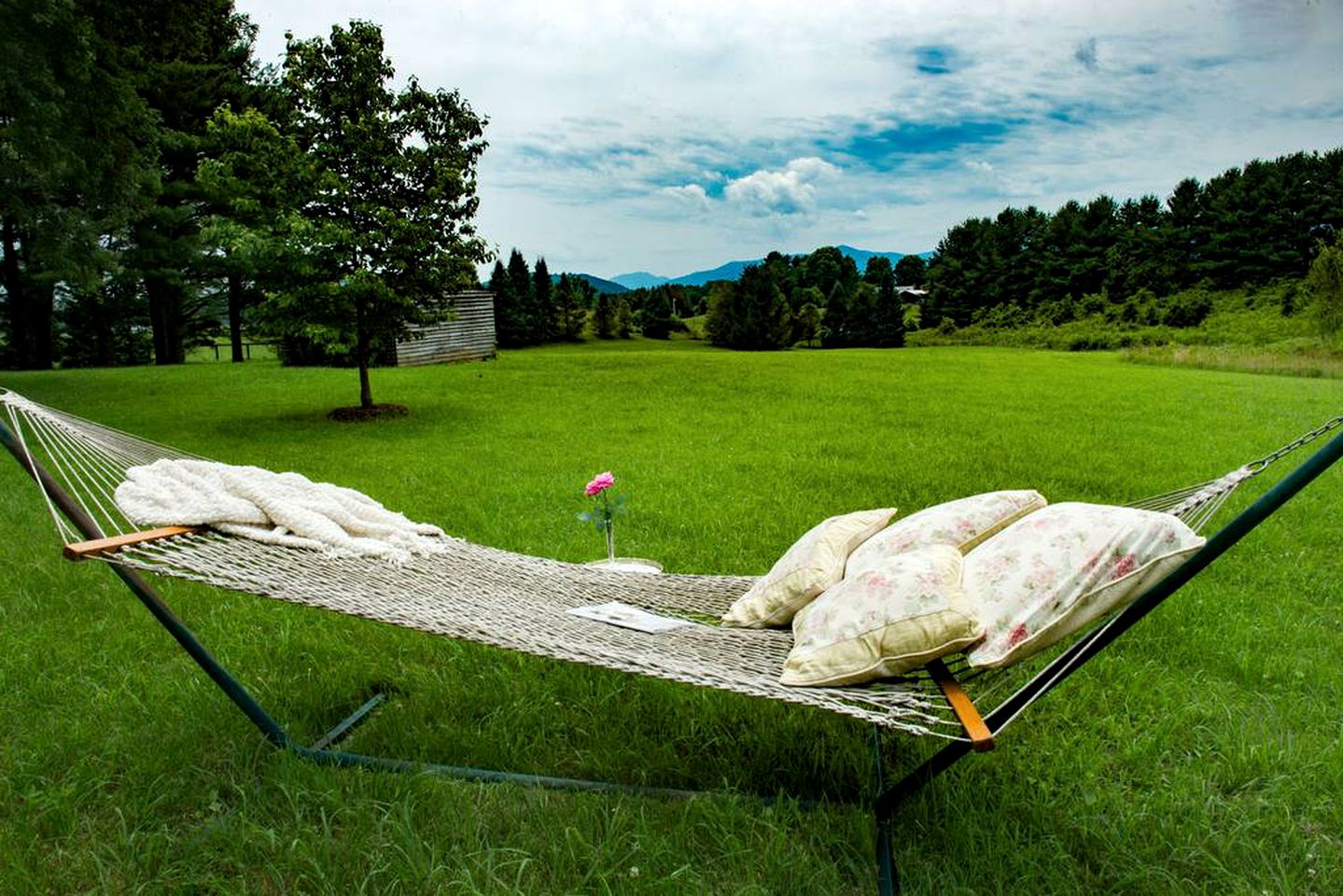 Captivating Cottage with Blue Ridge Mountain Views in Little Washington, Virginia