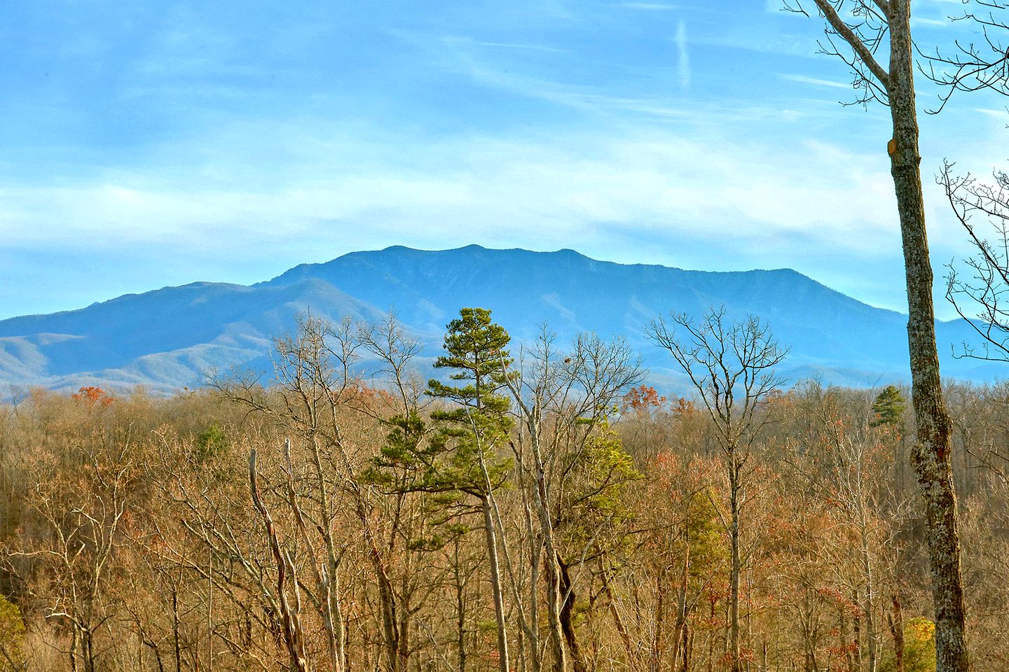 Amazing Tennessee Cabin Rental for a Great Smoky Mountain Vacation