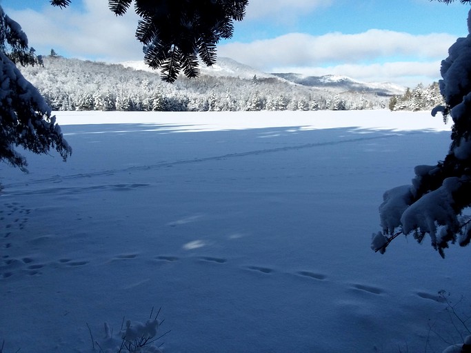 Blue Mountain Rest, Cabins 30915, Blue Mountain Lake, United States of America Glamping Hub