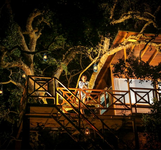 Luxury Treehouse Cabin Retreat Surrounded by Green Forest near Kirinda, Sri Lanka | Cabins (Palatupana, Southern Province, Sri Lanka)