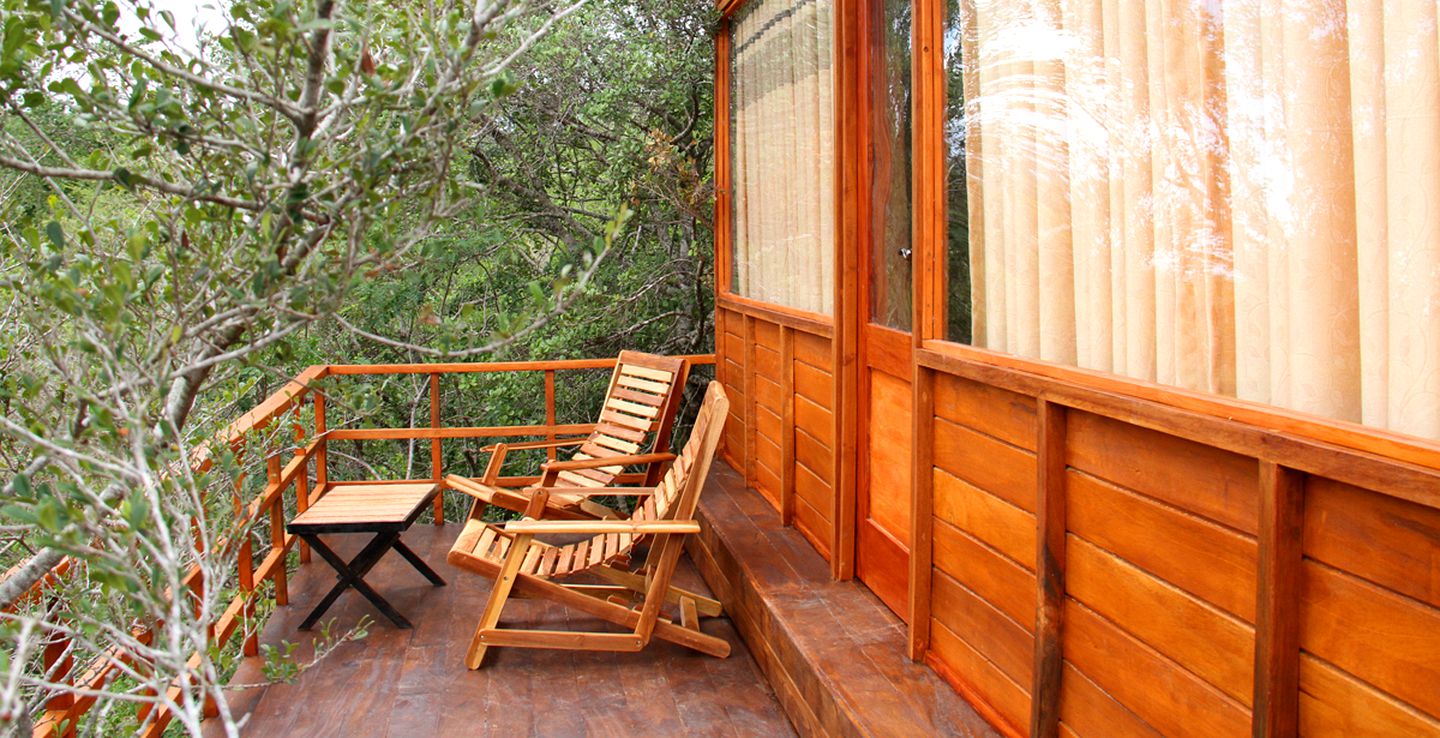 Luxury Treehouse Cabin Retreat Surrounded by Green Forest near Kirinda, Sri Lanka