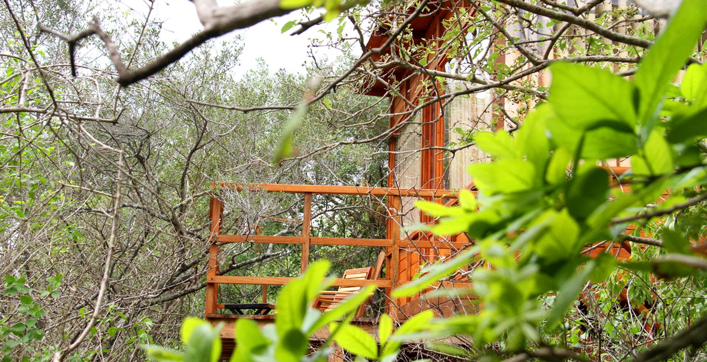 Luxury Treehouse Cabin Retreat Surrounded by Green Forest near Kirinda, Sri Lanka