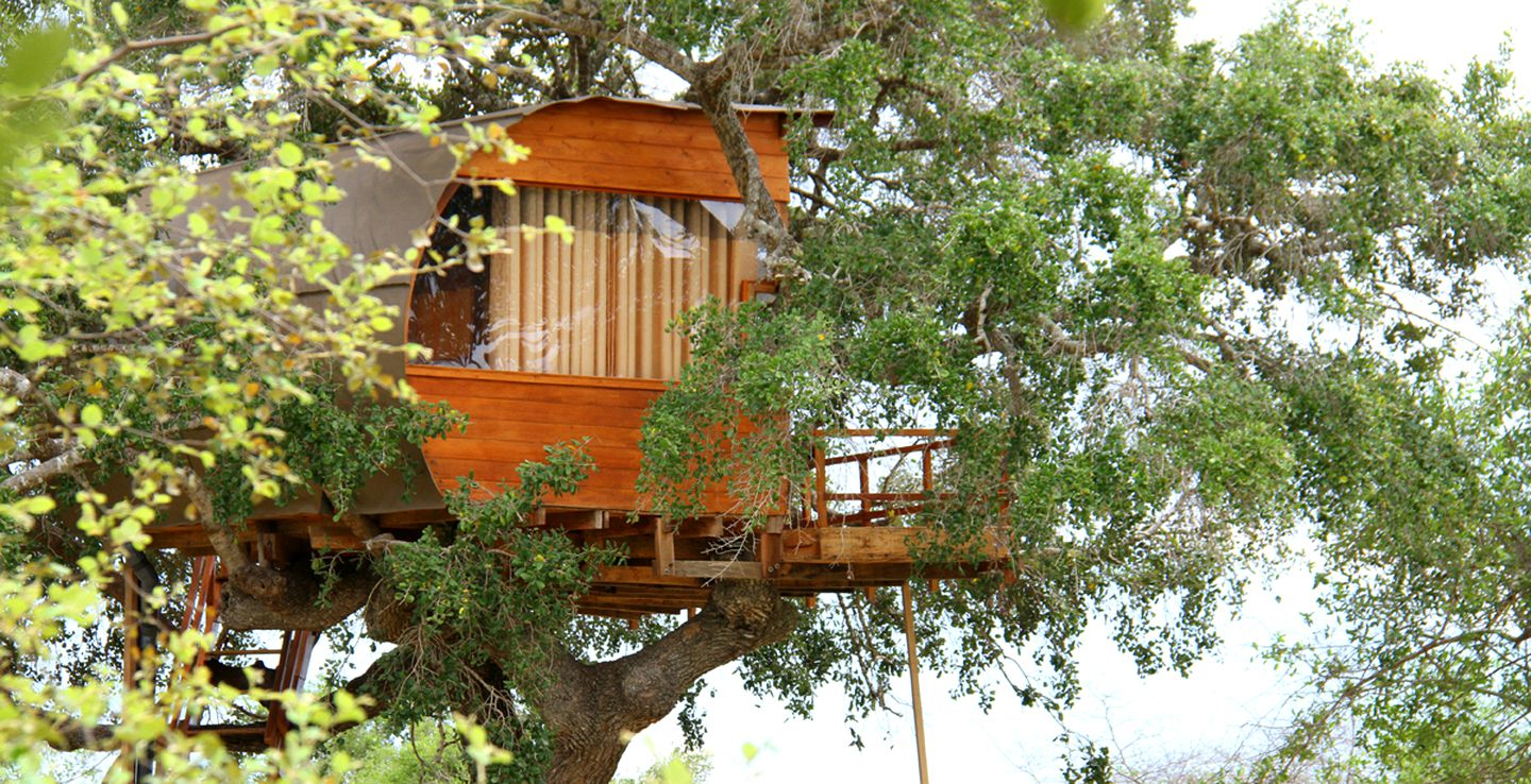 Unique Tree House Getaway near Tissamaharama, Sri Lanka