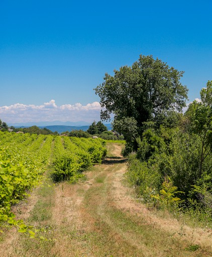 Yurts (Saint-Paulet-de-Caisson, Occitanie, France)