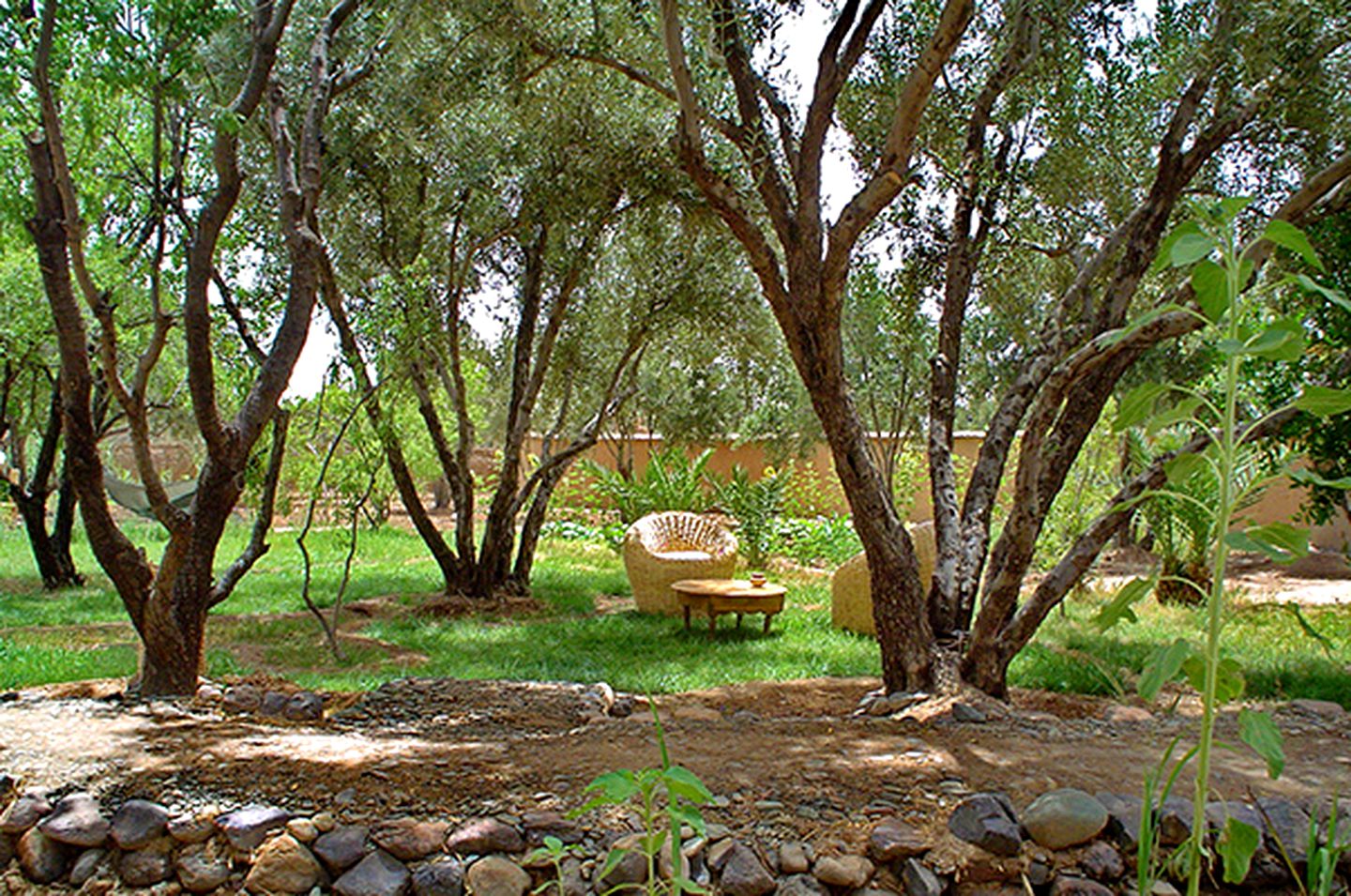 Stunning Romantic Getaway Accommodation in the Desert Oasis of Skoura, Morocco