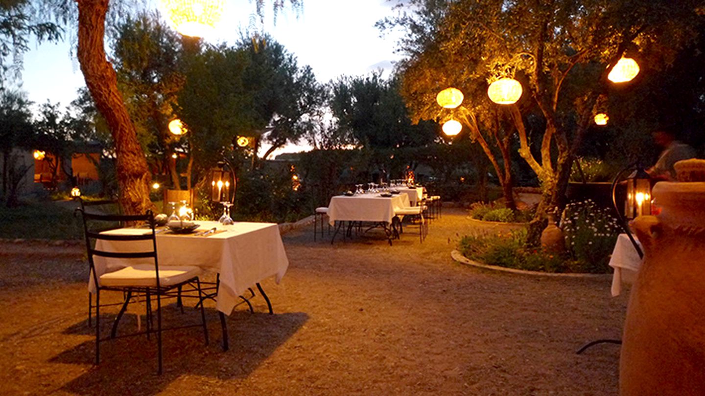 Stunning Bed and Breakfast Accommodation in an Oasis near Ouarzazate, Morocco