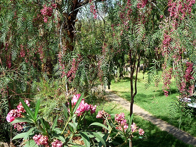 Nature Lodges (Skoura, Drâa-Tafilalet Region, Morocco)