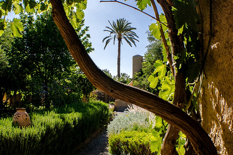 Nature Lodges (Skoura, Drâa-Tafilalet Region, Morocco)