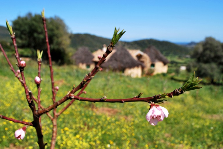 Huts (Torpè, Sardinia, Italy)