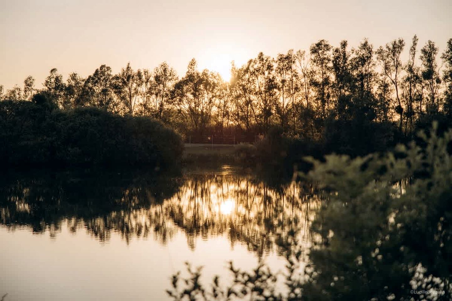Idyllic Eco Retreat with Pond Access near Fontainebleau Forest, Burgundy