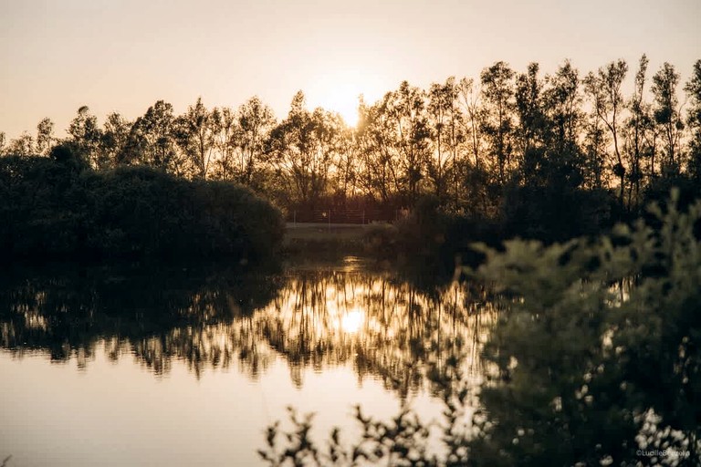 Tiny Houses (France, Villeneuve-la-Guyard, Bourgogne-Franche-Comté)