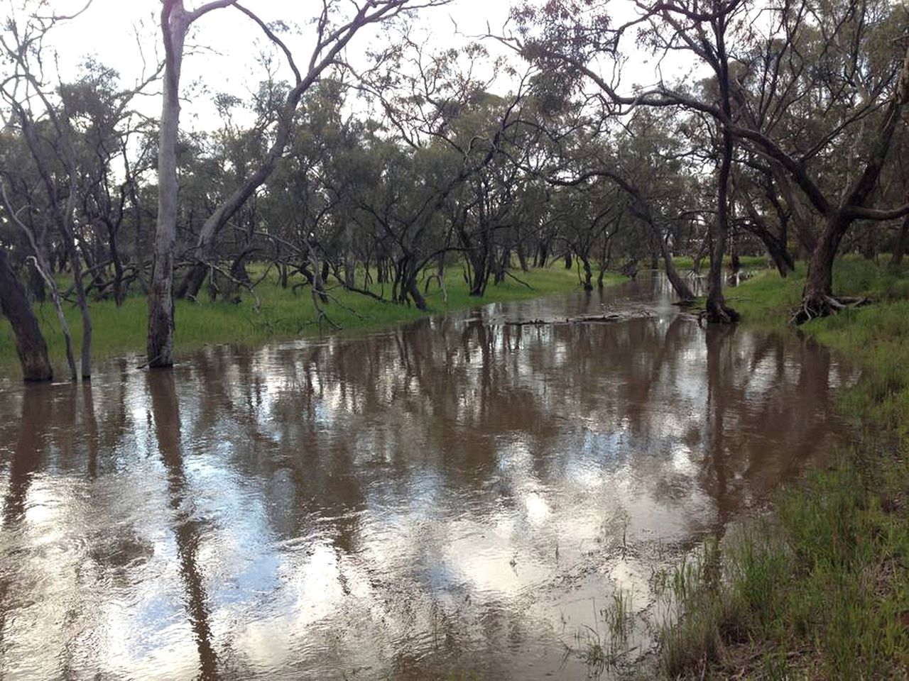 Romantic Log Cabin for Holidays Underneath Open Sky in Warracknabeal, Victoria