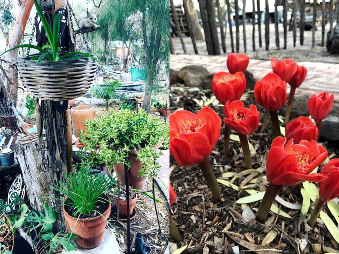 Log Cabins (Warracknabeal, Victoria, Australia)