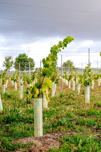 Pods (United Kingdom, Salisbury, England)