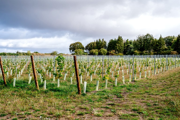 Pods (United Kingdom, Salisbury, England)