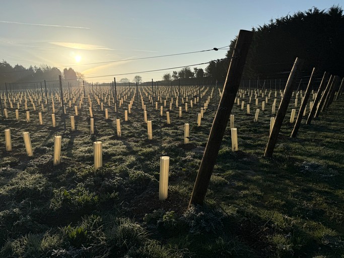 Pods (United Kingdom, Salisbury, England)