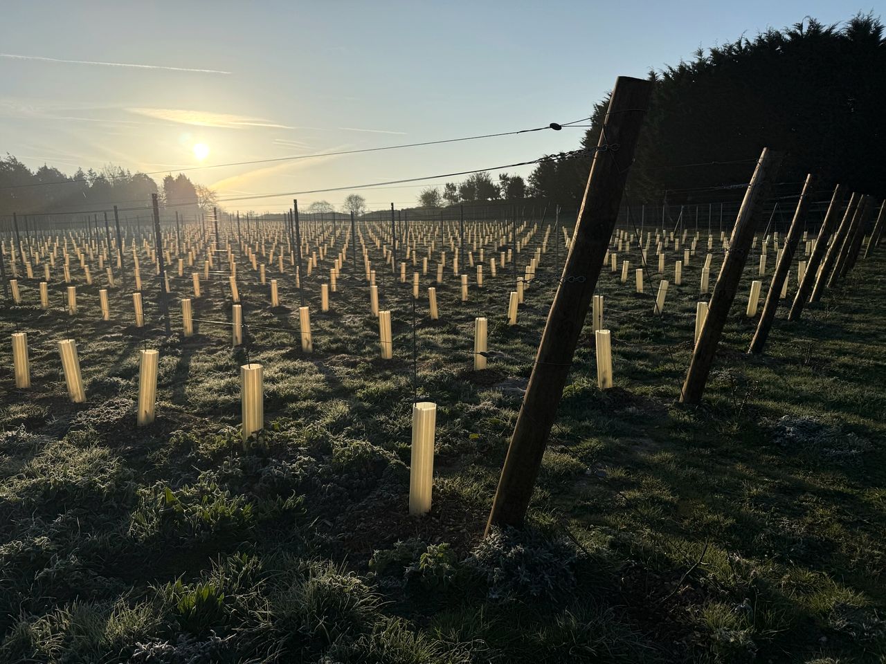 Luxurious Glamping Pod with Hot Tub for a Relaxing Escape in Nature near Salisbury, England