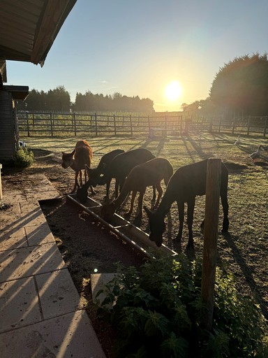 Pods (United Kingdom, Salisbury, England)
