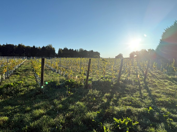 Pods (United Kingdom, Salisbury, England)