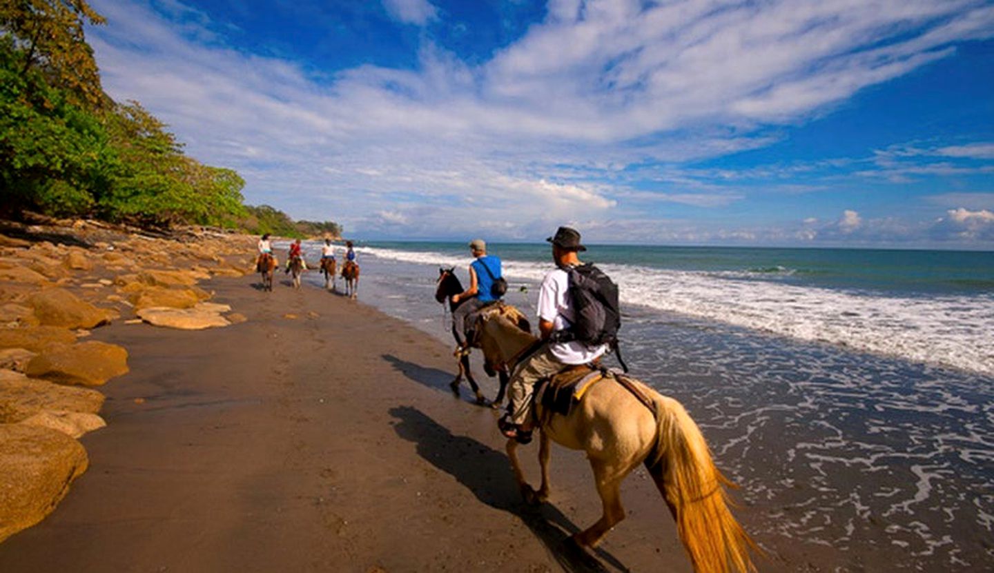 Deluxe Villa Rental Set near Manuel Antonio State Park, Costa Rica