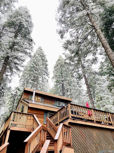 Cabins (United States of America, Arnold, California)