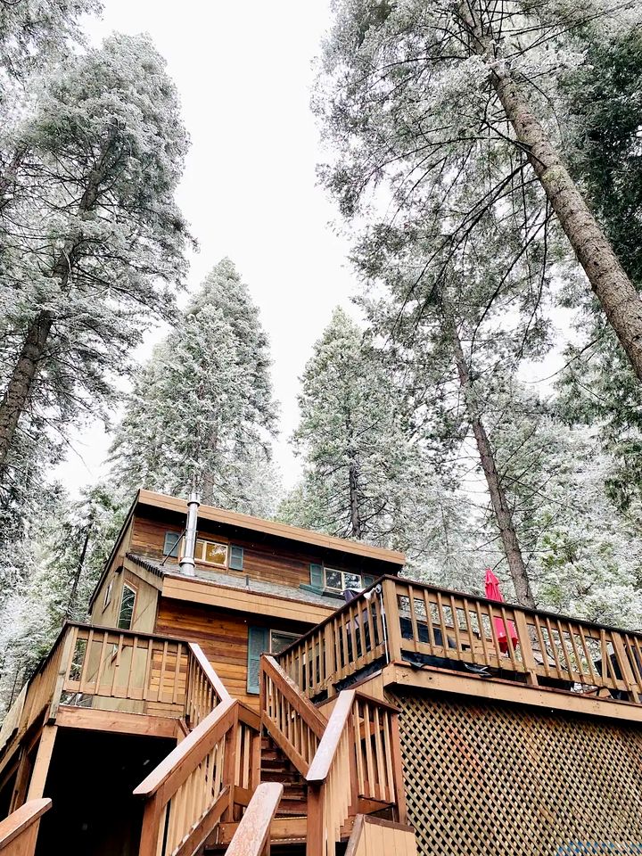 Cabins (United States of America, Arnold, California)