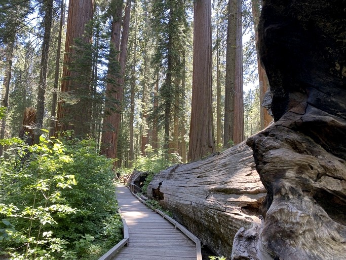 Cabins (United States of America, Arnold, California)