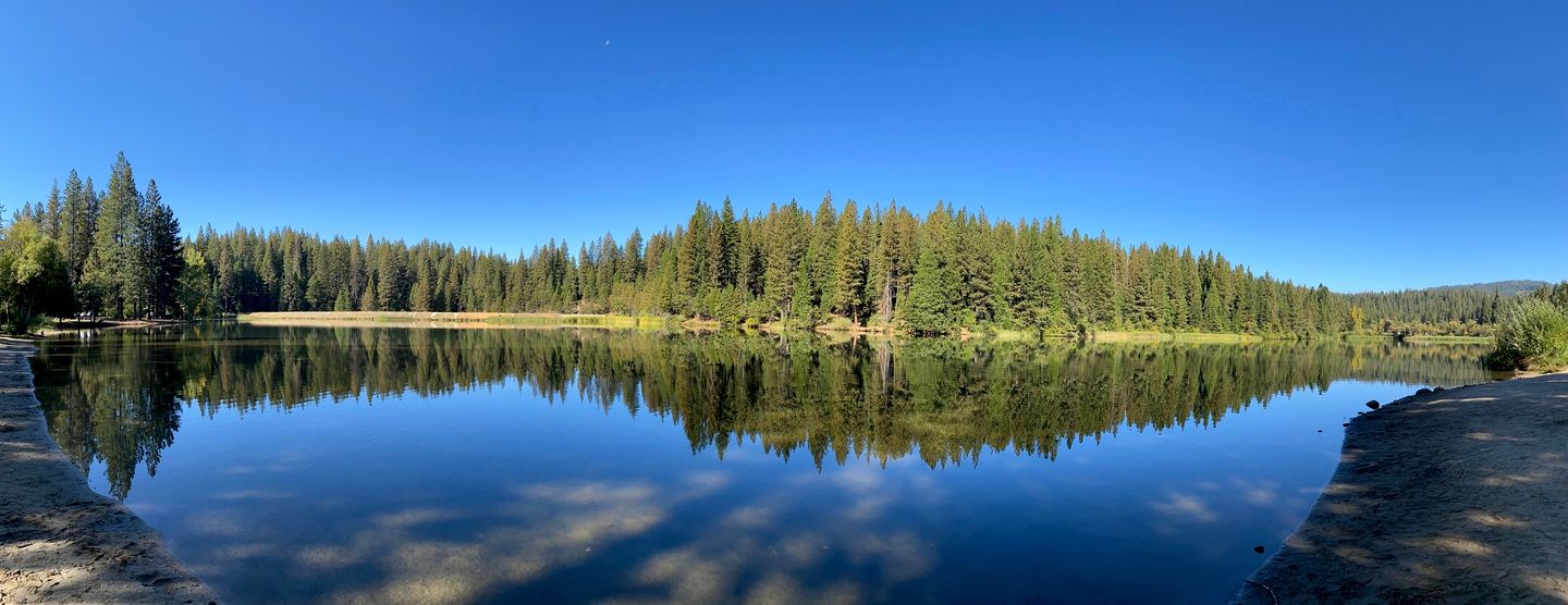Cozy Cabin in Lush Forest with Shared Pool near Bear Valley Ski Resort in Arnold, California