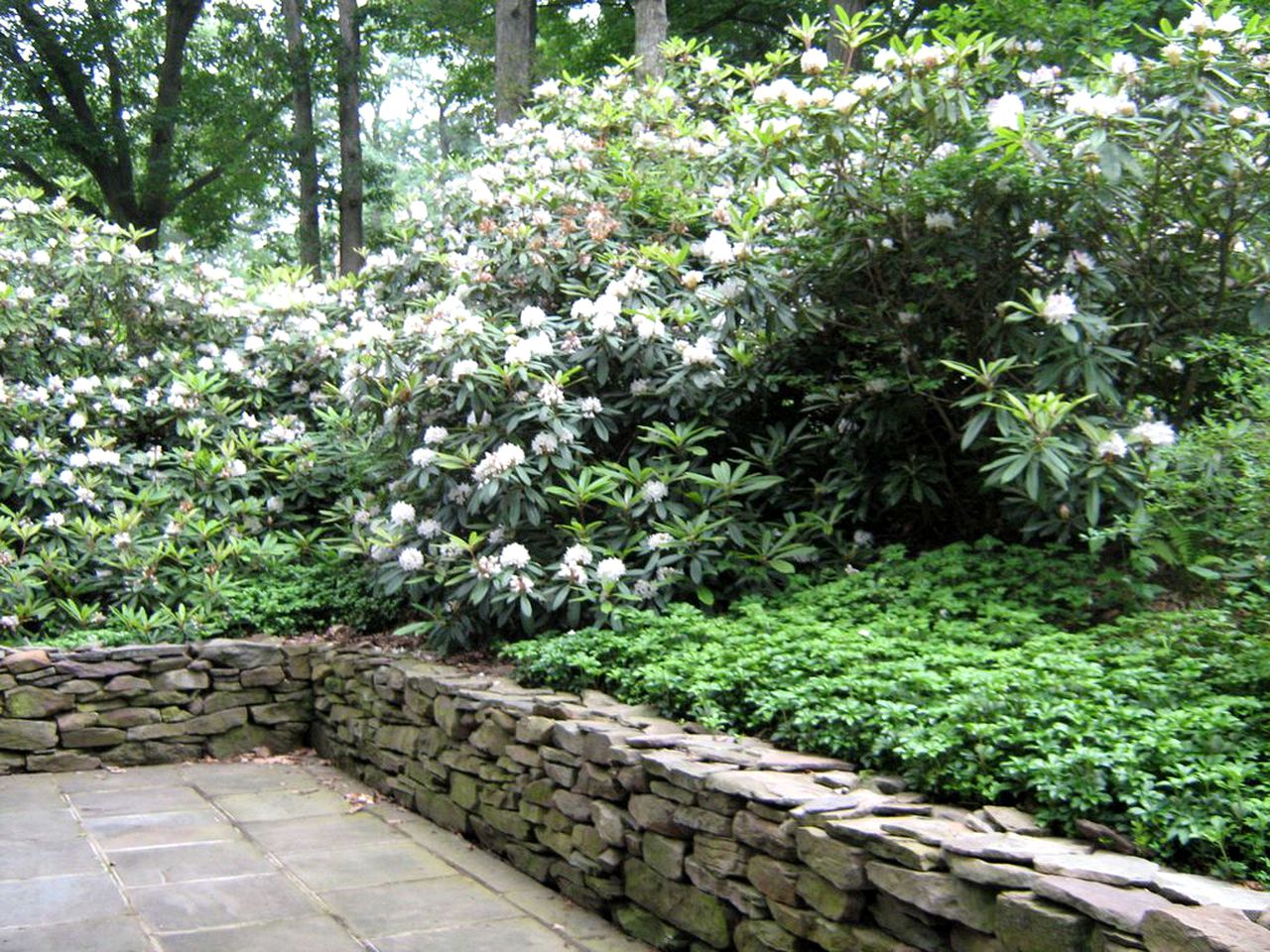 Lakefront Cottage Rental on Lily Lake in the Pocono Mountains of Pennsylvania