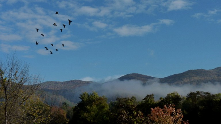 Cabins (Hot Springs, North Carolina, United States)