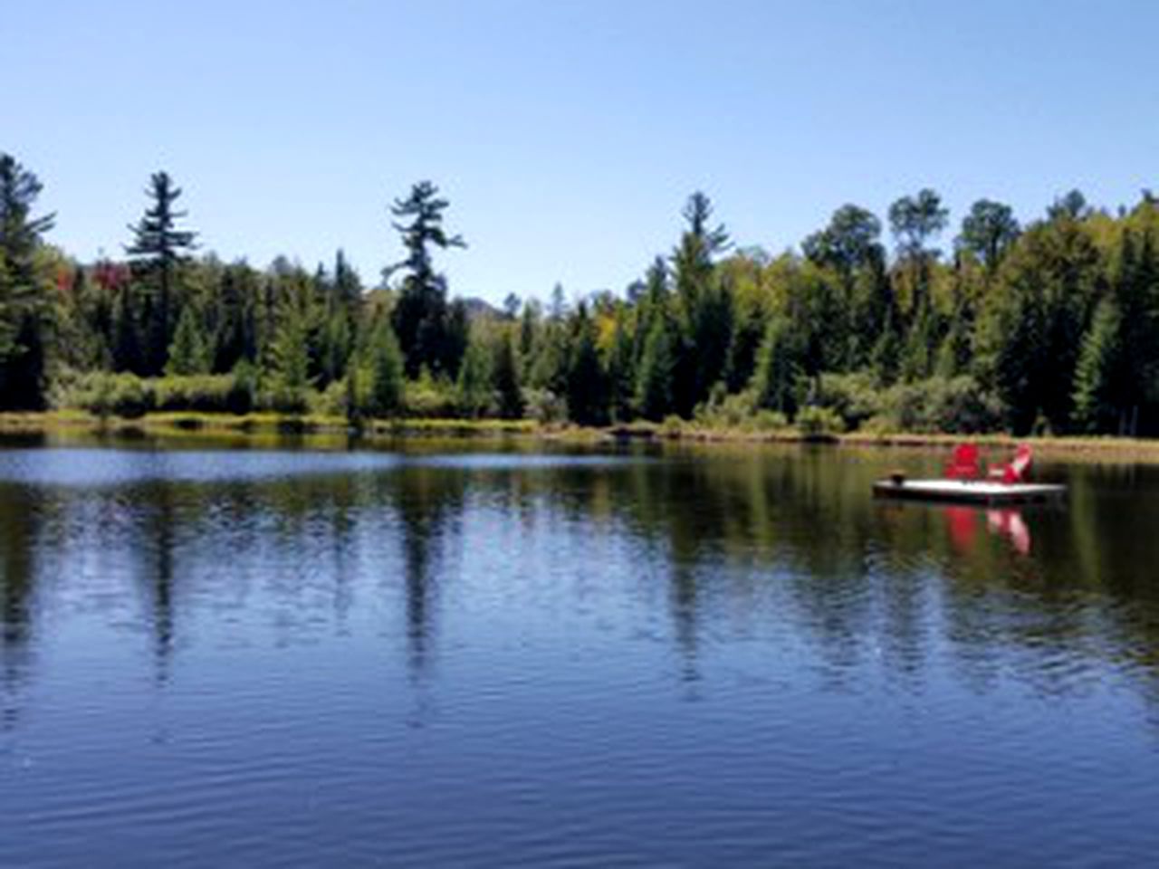 Rustic Cabin for a Weekend Getaway near McKenzie Mountain Wilderness in New York
