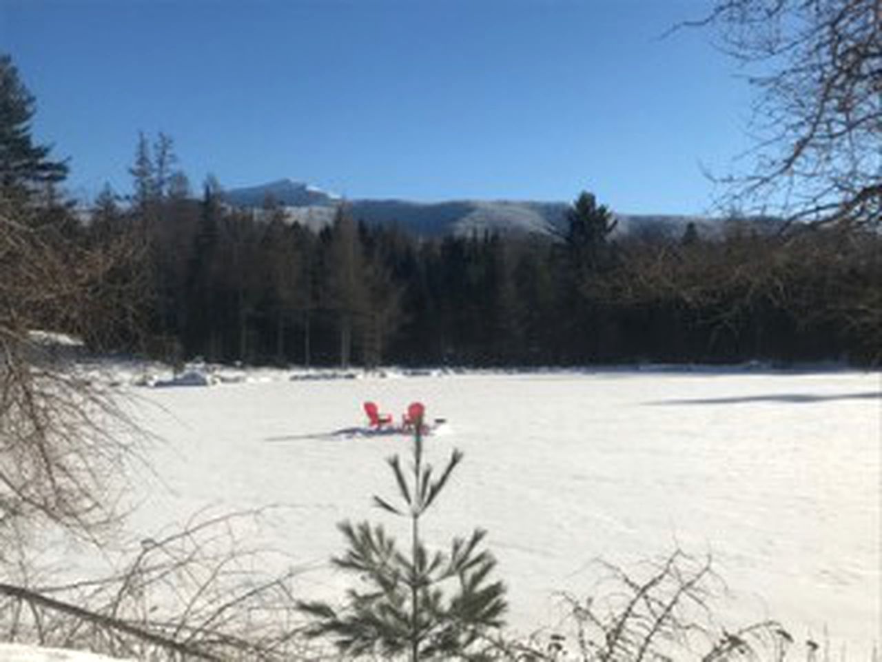 Rustic Cabin for a Weekend Getaway near McKenzie Mountain Wilderness in New York
