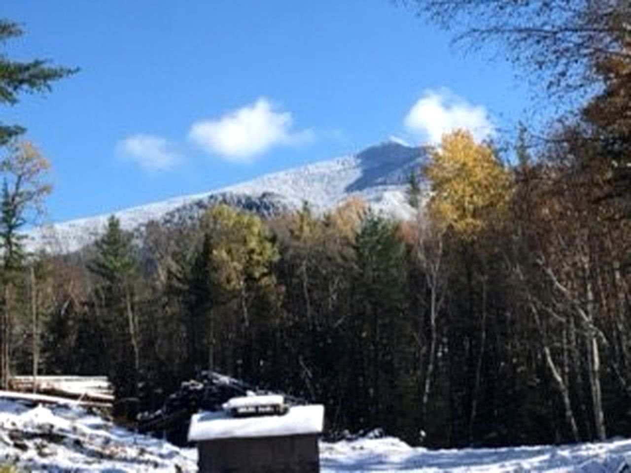 Rustic Cabin for a Weekend Getaway near McKenzie Mountain Wilderness in New York