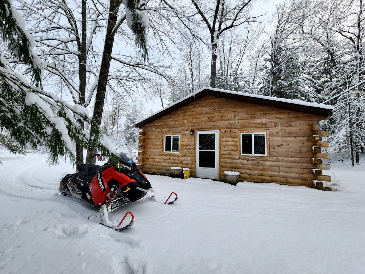 Cozy Lakeside Log Cabin with Kayaks & Arcade Access near Trails in Bitely, Michigan