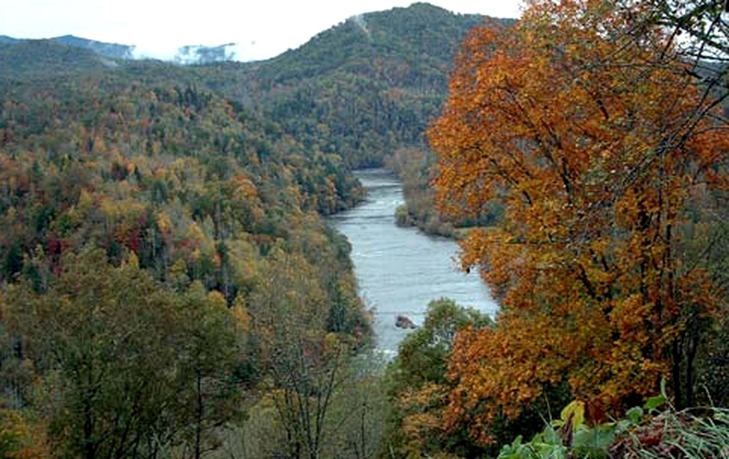 Eco-Friendly Cabin Rental in the Heart of the Smoky Mountains, North Carolina