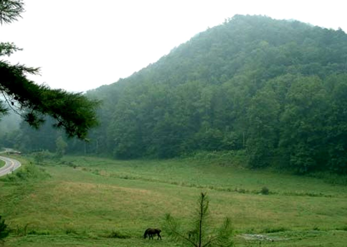 Eco-Friendly Cabin Rental in the Heart of the Smoky Mountains, North Carolina