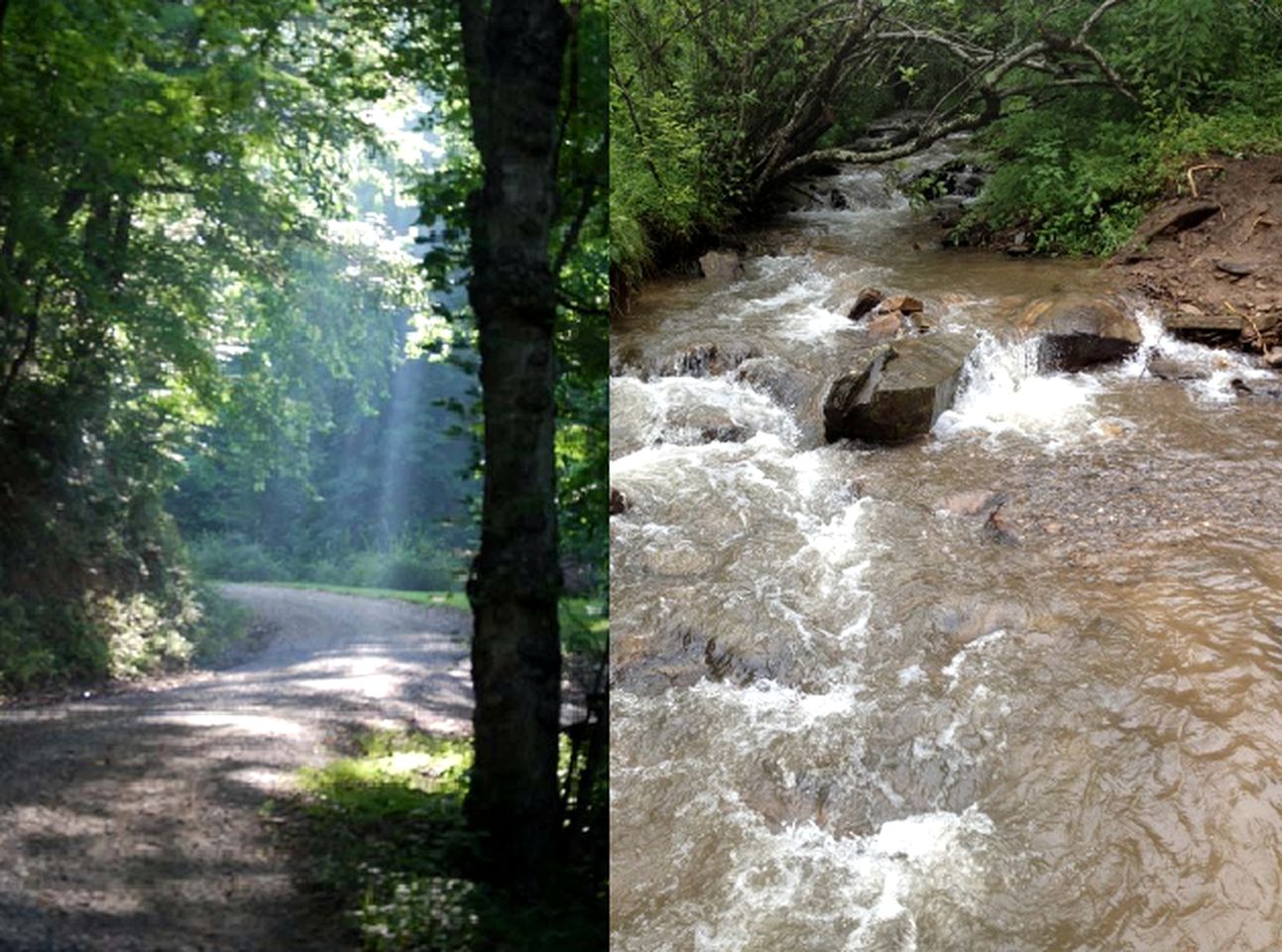 Eco-Friendly Cabin Rental in the Heart of the Smoky Mountains, North Carolina