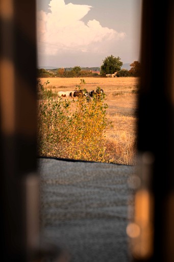 Tiny Houses (France, Espinasse-Vozelle, Auvergne-Rhône-Alpes)