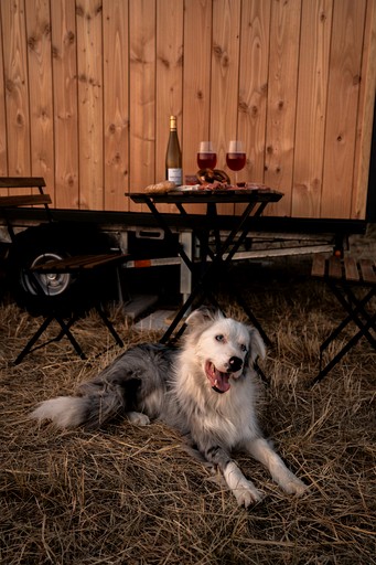 Tiny Houses (France, Espinasse-Vozelle, Auvergne-Rhône-Alpes)